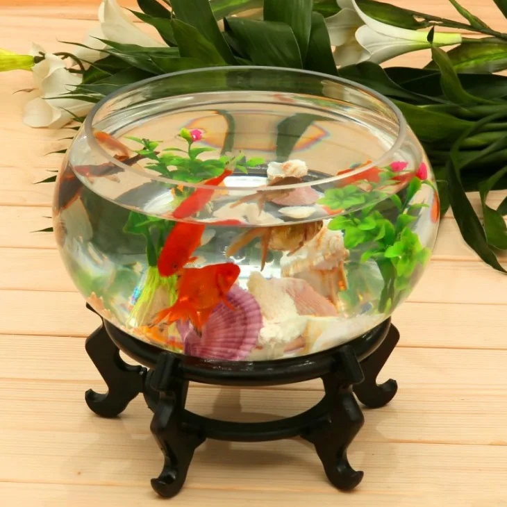 Unique style fashion factory price aquarium fish tank