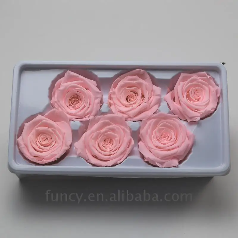 Wholesale A Grade 6 cm Pink Color Preserved Infinity Roses Flower Head From Yunnan FuncyFlora