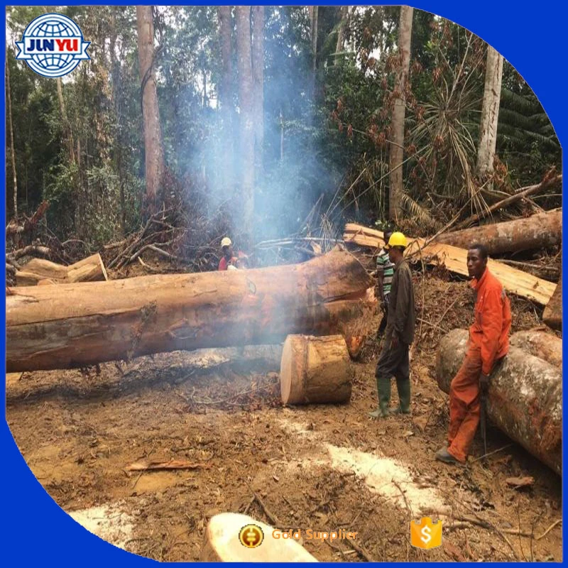 Azoe logs Azobe wood Azobe price for sale in stock