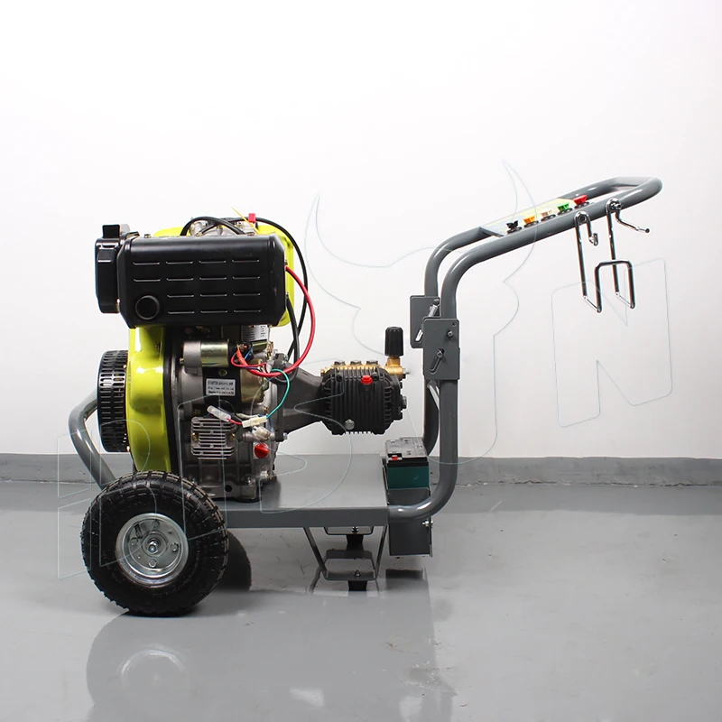 BISON(CHINA) BS-DE250A 250 Bar 3600psi/186FE diesel high pressure washer