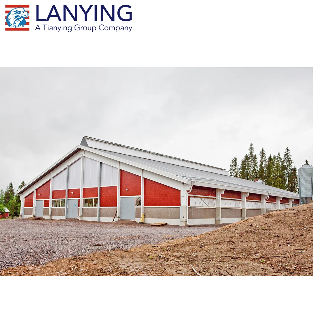 Light Steel Poultry Farming Chicken Sandwich Panel Door or Rolling Door Steel Frame Structure Layer Poultry Farming PVC Window