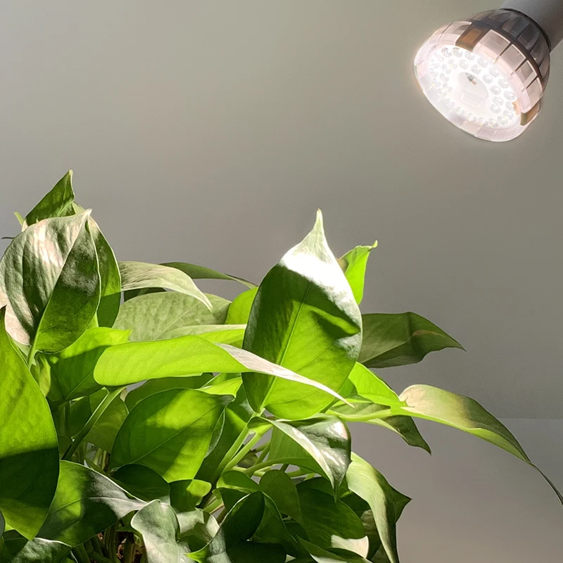 SANSI E26 E27 Full Spectrum Nature Day Light 15W Led Plant Grow Light for Indoor Garden Lighting