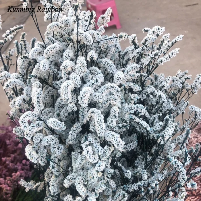 Factory supply preserved flower Preserved Sea Lavender flower Limonium dry crystal grass from Kunming Rainbow