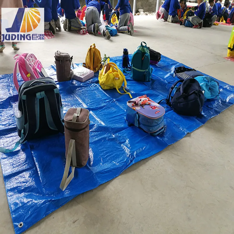 160GSM, 220GSM, 260GSM LDPE Laminated High Density Polyethylene HDPE PE Tarpaulin