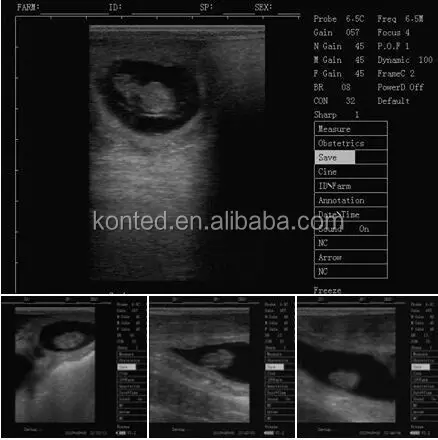 KONTED V10 портативная ультразвуковая Ветеринария для беременных