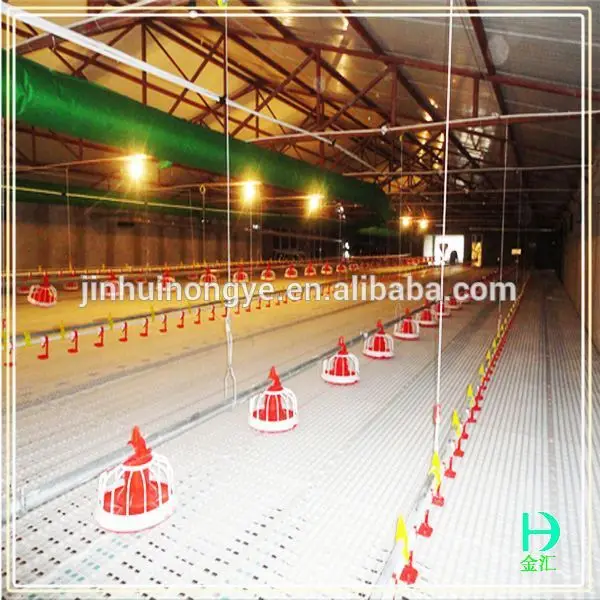 
 малый курятник дизайн бройлеров дом птицефермы  