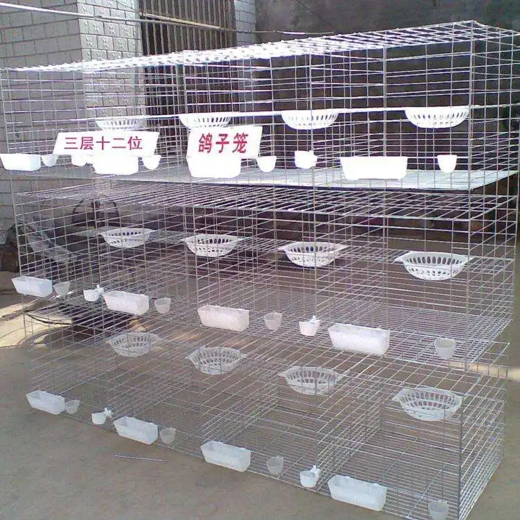 Efficient and durable chicken cage