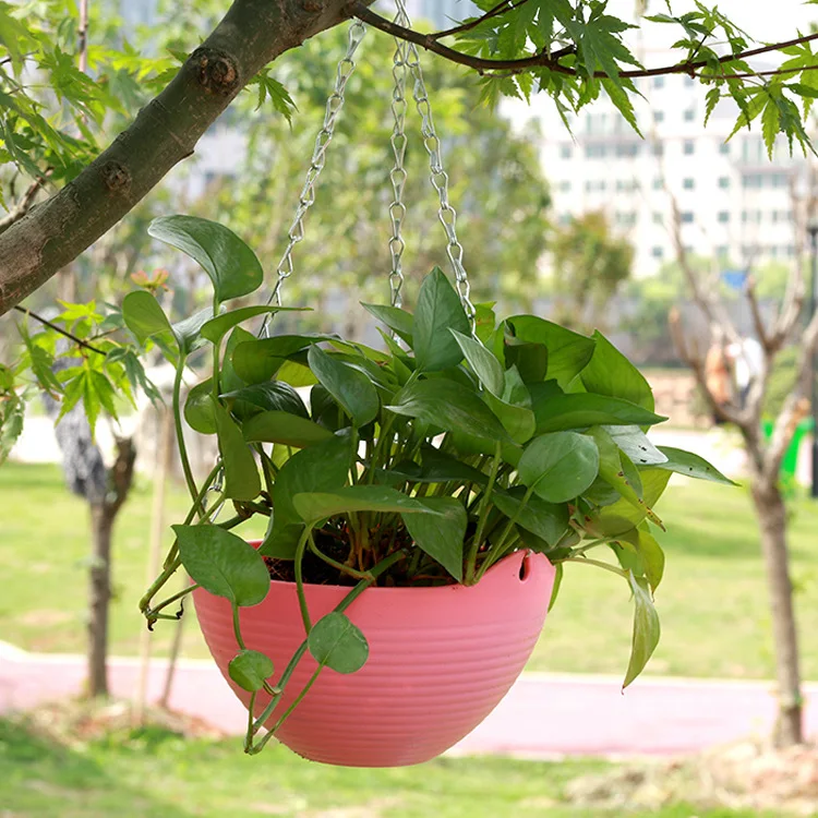Plastic Flower pot hanging flower pot Sky Plants Pot