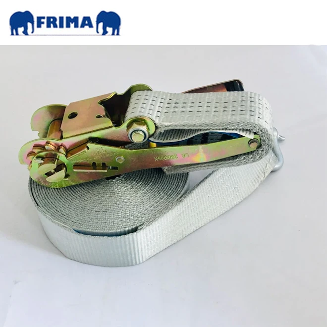 10m/5Ton Heavy Duty Lashing Ratchet Tie Down Polyester Webbing Strap with Electric Galvanized D Shackle for Vehicle Transport