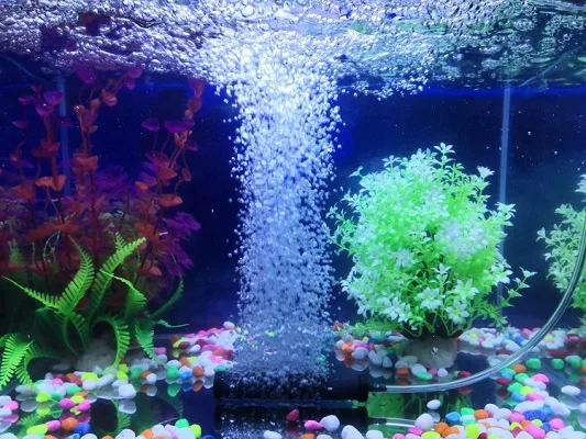 blister card 2PK HiSin/HaiXin BS020 grey 15*70mm high temperature sintered air stone,hydroponic&fish farm,fish tank decoration