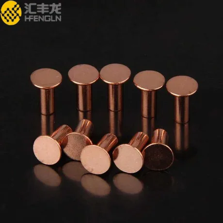 Bimetal Silver Alloy Rivet Slide Switch Contact Wenzhou Wholesale