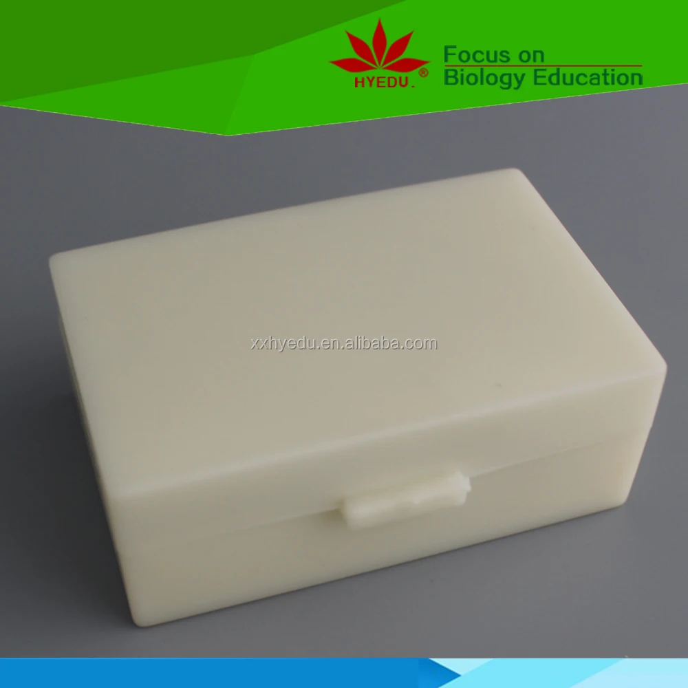 Индивидуальные скользящие клеточные биологии и гены хромосомные микроскопы аксессуары слайды