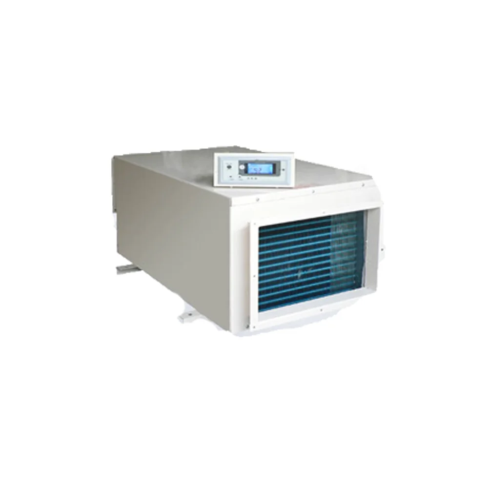 Ceiling Mounted HRDD-90 Dehumidifier for Swimming Pool Perfect Poolside Drying Solution