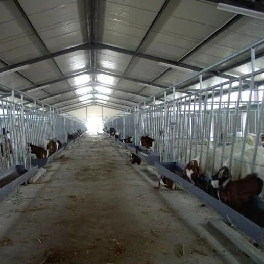 High quality prefabricated  steel structure pig housing farm shed house