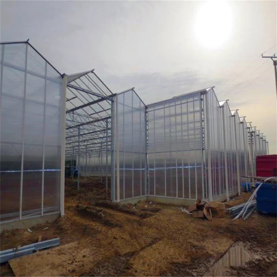 
agricultural polycarbonate greenhouse with 10mm thick polycarbonate sheet as covering insect net 