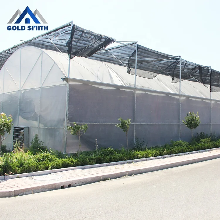 Gold Smith Intelligent Plastic Film Greenhouse Steel Structure for Vegetable Planting