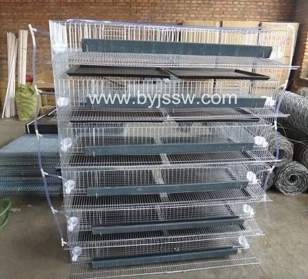 Poultry Quail Farming Equipment Cage Accessories With Tray