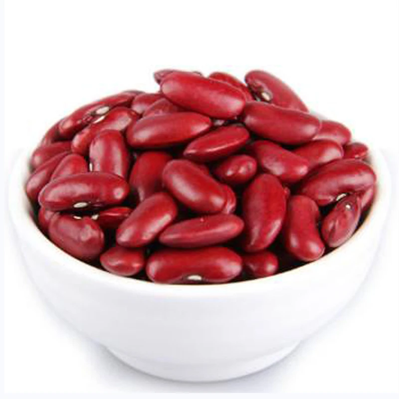 Good price china factory organic dark red kidney beans