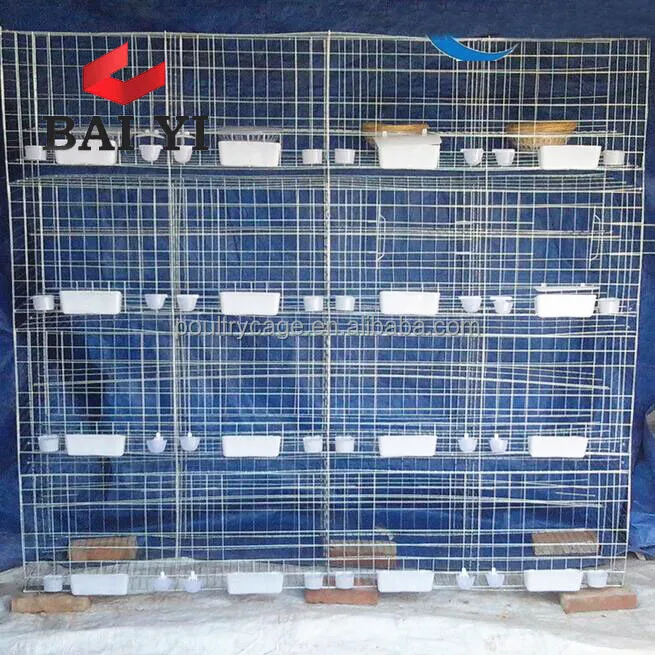 Offer Hot Sale Cheap Pigeon Box