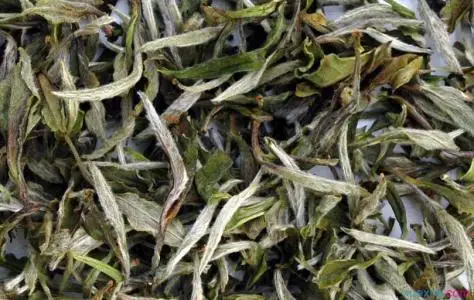 White Peony Tea White Tea Pai Mu Tan Loose Tea Bai Mu Dan