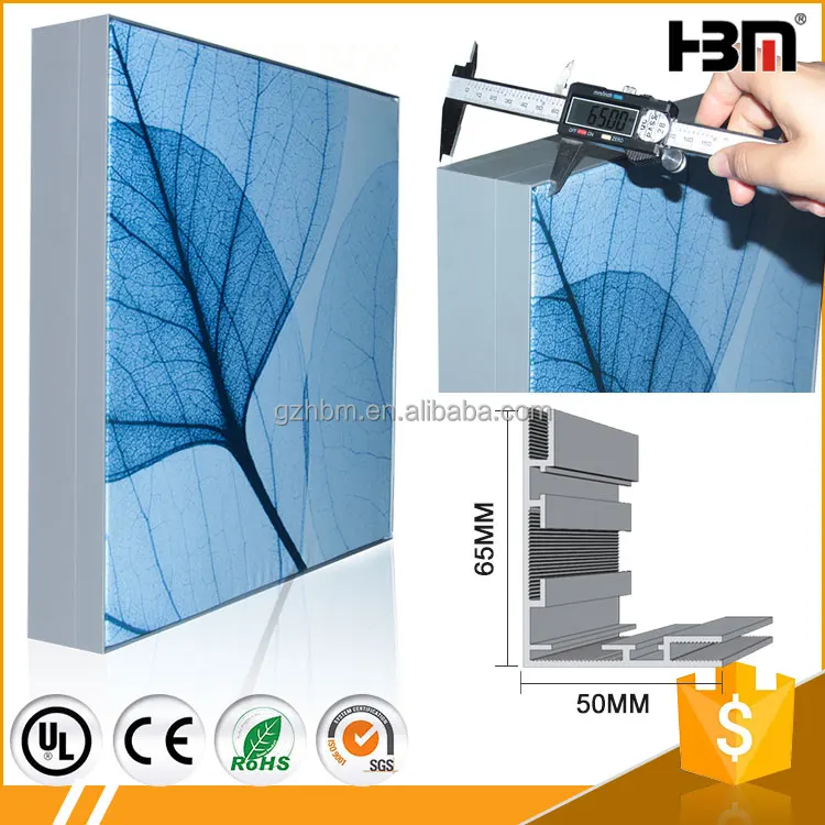 HBM производство ткани лайтбокс кадров 65 мм экструзии алюминиевого профиля