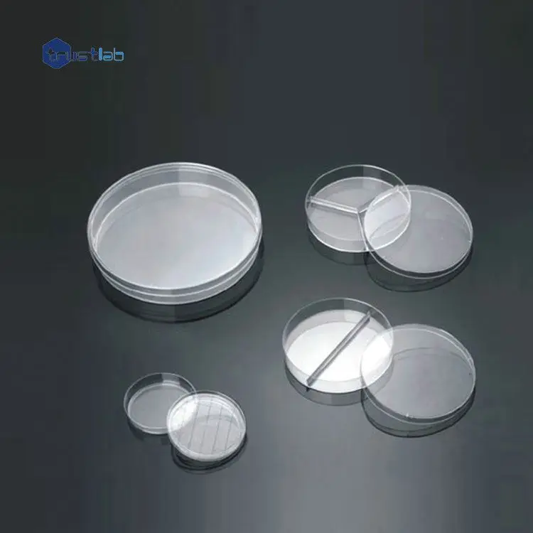 Lab cell culture glass petri dish