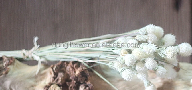 Floral Dried Handmade natural cedar nut Ball Flower