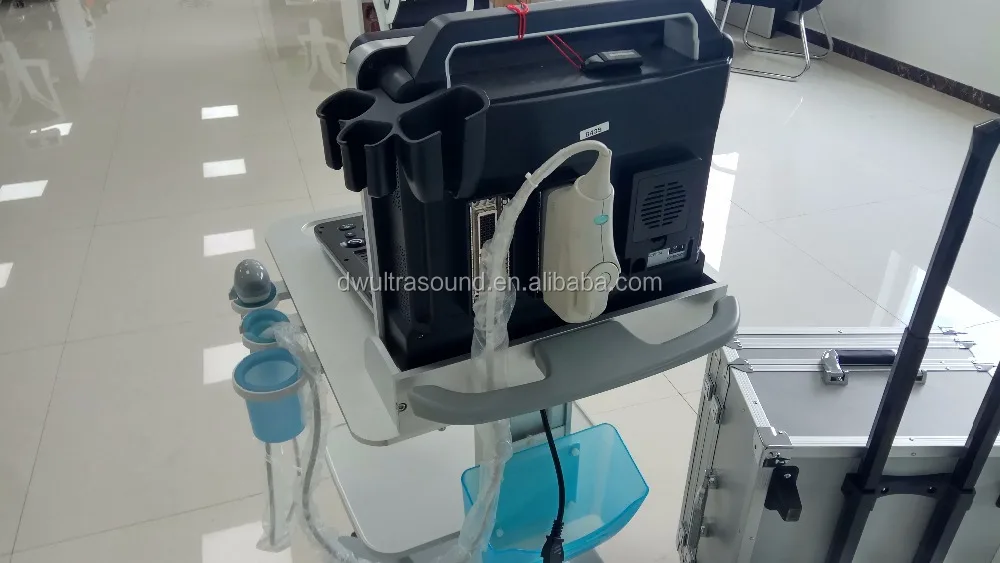 New laptop and portable 3D 4D Color Doppler Veterinary Ultrasound DW-P6(DW-C300) can exam cardiac