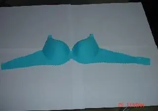 KV-90B  Hongji Brand New Seamless Bra Molding Machine