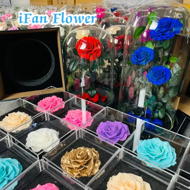 Unique Purple queen color wholesale preserved rose flower ecuador wholesale flowers