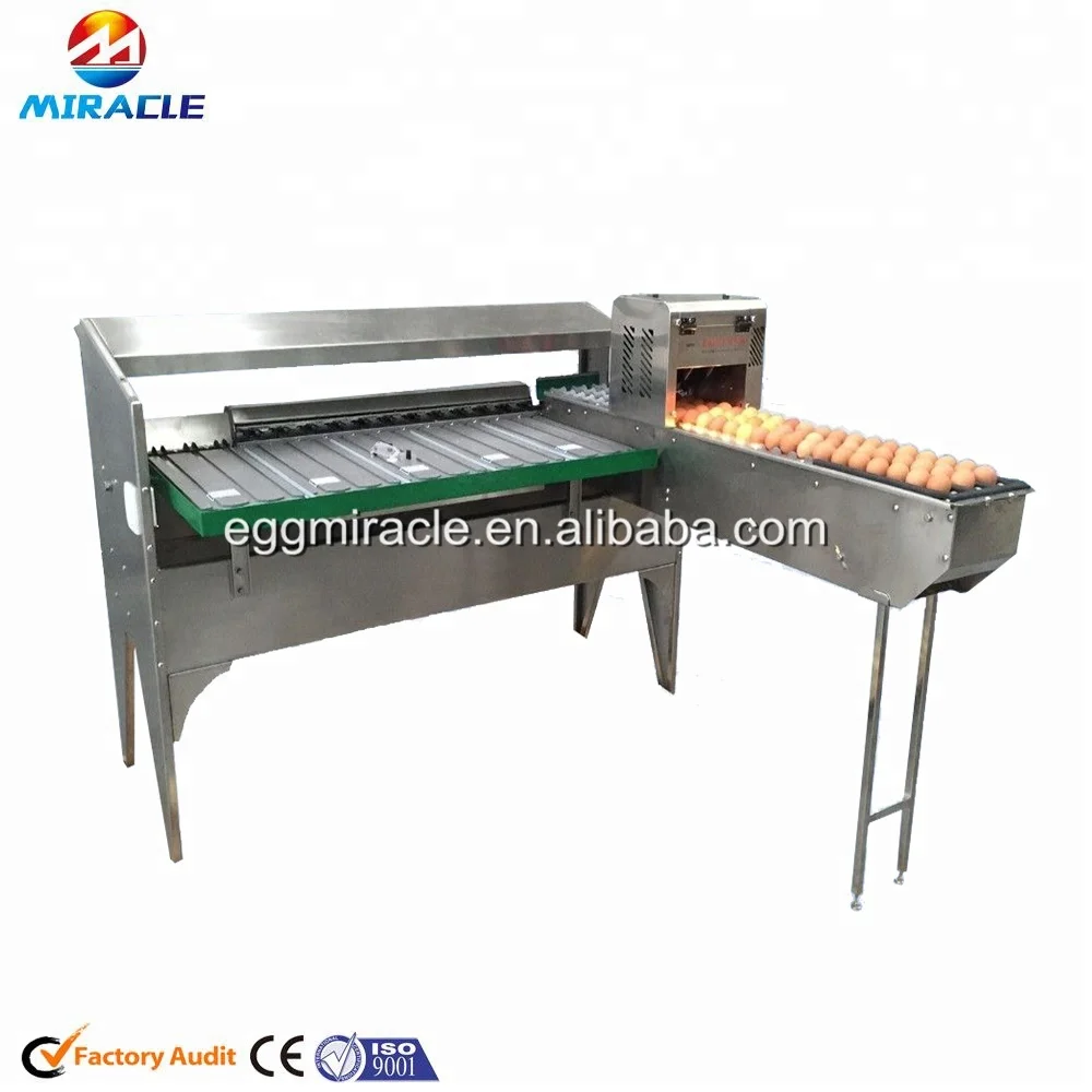 High quality egg grading machine, egg weight grader, egg grading by weight equipment
