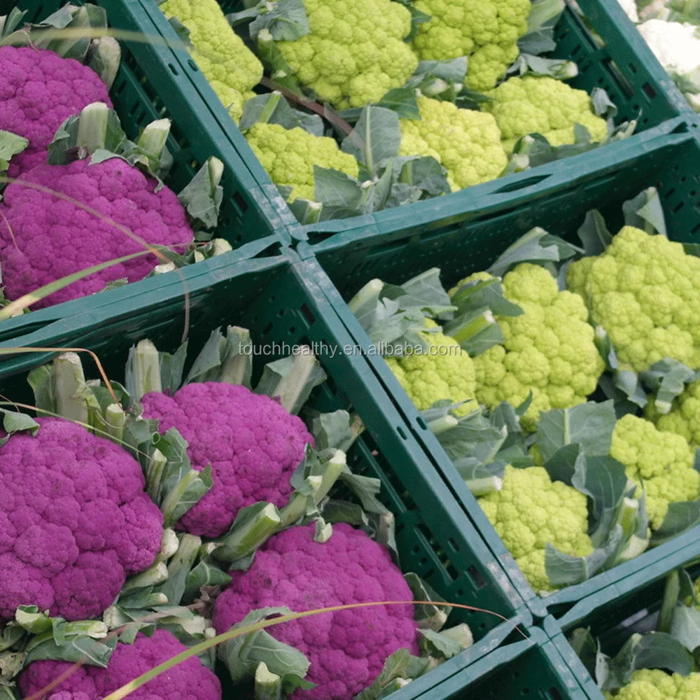 
2021 Touchhealthy supply High Yield Purple Broccoli seeds 