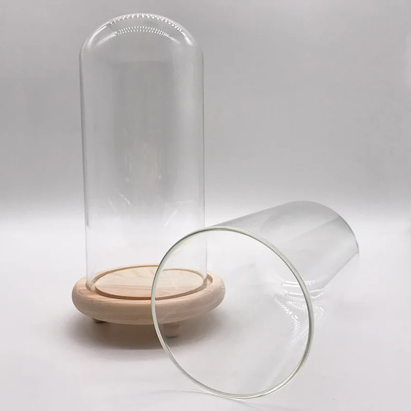 
OEM Factory Directly Glass Plant Terrarium High Quality Display Glass Dome Wholesale Glass Dome with Wooden Base 