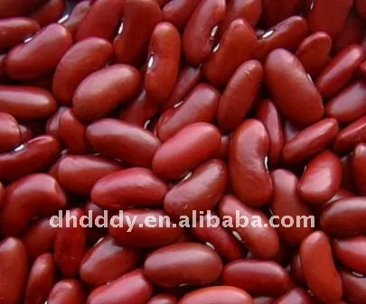 Dark red kidney bean