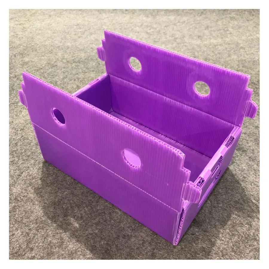 Fruit /Vegetable Packing Corrugated Plastic Box