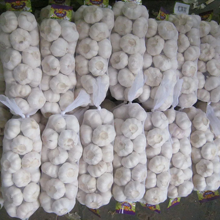 Cold Stored Fresh Garlic hometown of garlic White Garlic