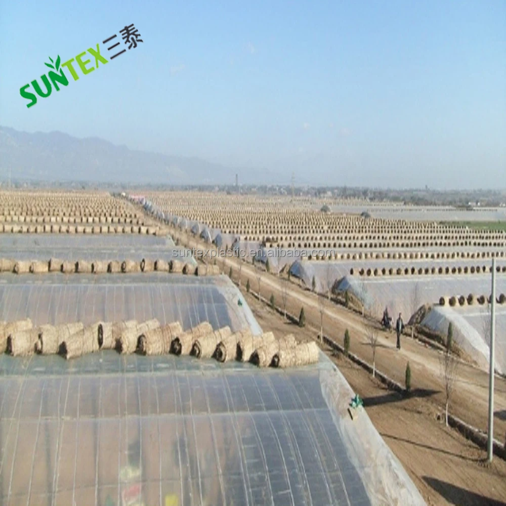 Выдувной молдинг, прозрачный LDPE с УФ пленкой для теплиц, 5 мил 6 мил 8 мил, сельскохозяйственная полиэтиленовая пленка, 4*50 м