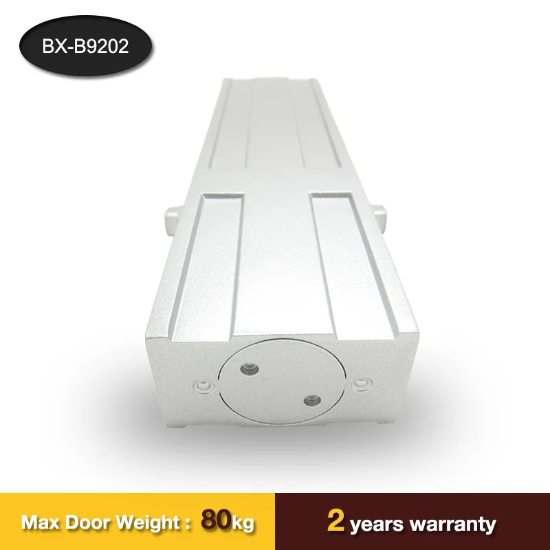 High Quality Aluminium Alloy Heavy Duty Concealed Door Closer /Hidden Door Closer