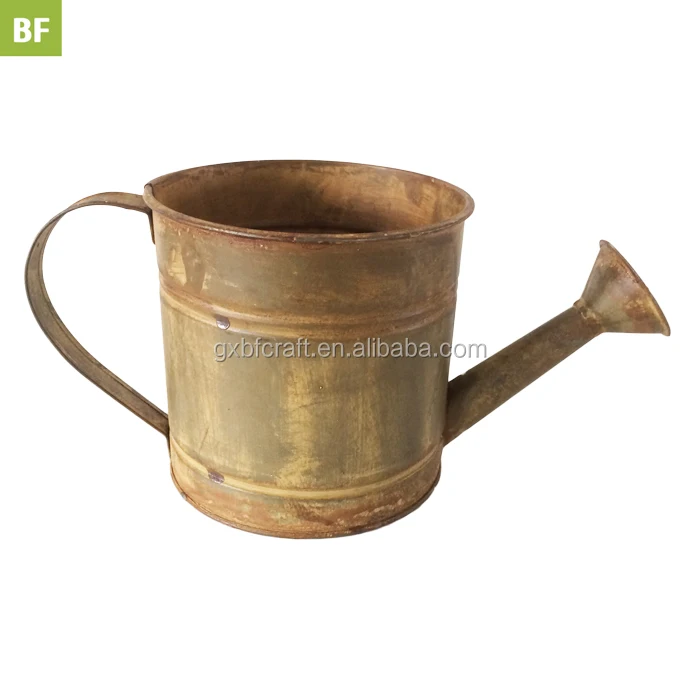 Оптовая продажа, Королевский декоративный садовый набор для детей, цинковая банка для полива и маленькие золотые цветочные горшки