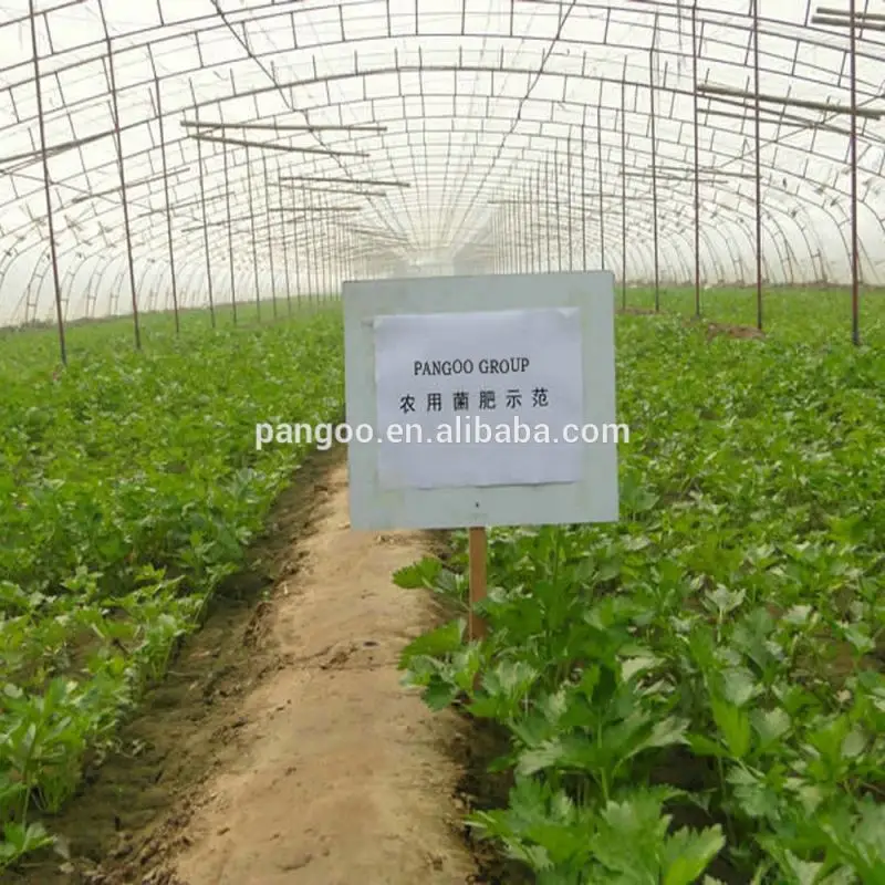 Silicate Bacteria Fertilizer Additives 10 bilion cfu/g for tomatoes, beans PANGOO PLANT GROWER
