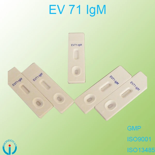 rapid test antibody enterovirus 71 EV71 IgM cassette/device blood testing reagent