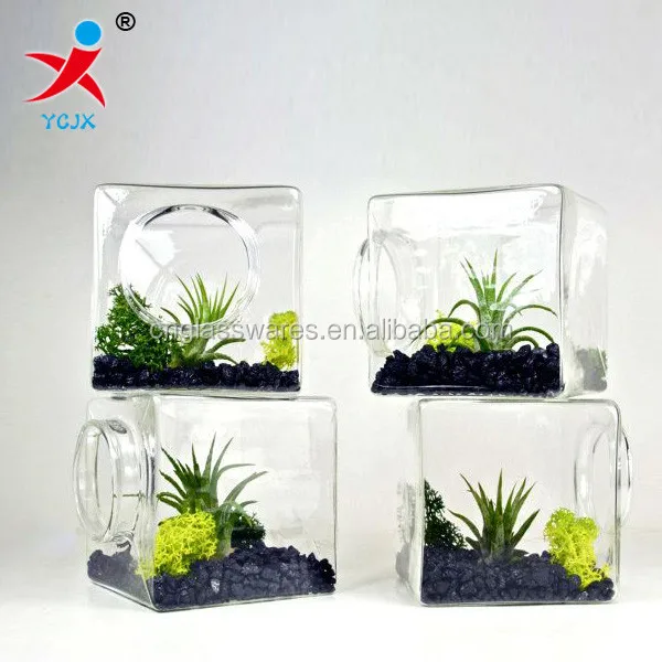 New Design square Glass Jar Terrarium for