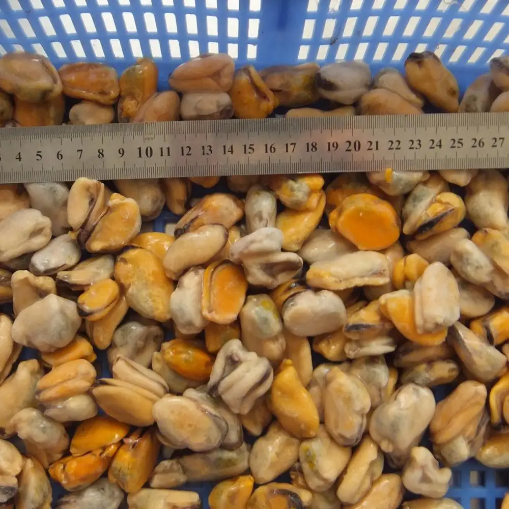 Замороженная синяя мишура в форме половины ракушки разных размеров