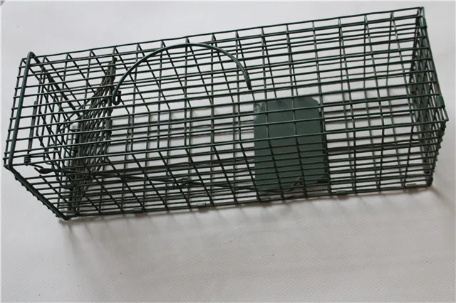 Cage Rat Traps Rat Bird Cat Rabbit Trap Wild Animal Trap For Animals