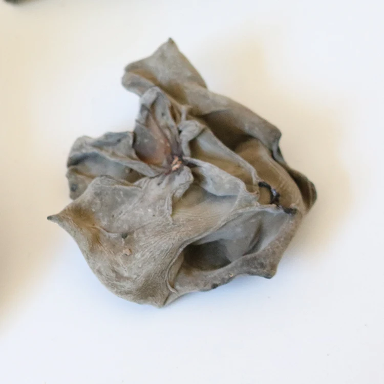 
Wild dried agaric from Auricularia auricula organicdried agaric 