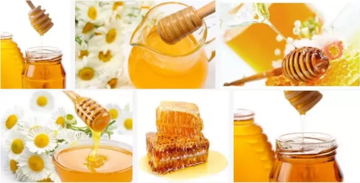 Автоматическая машина для переработки Меда оборудование производства меда