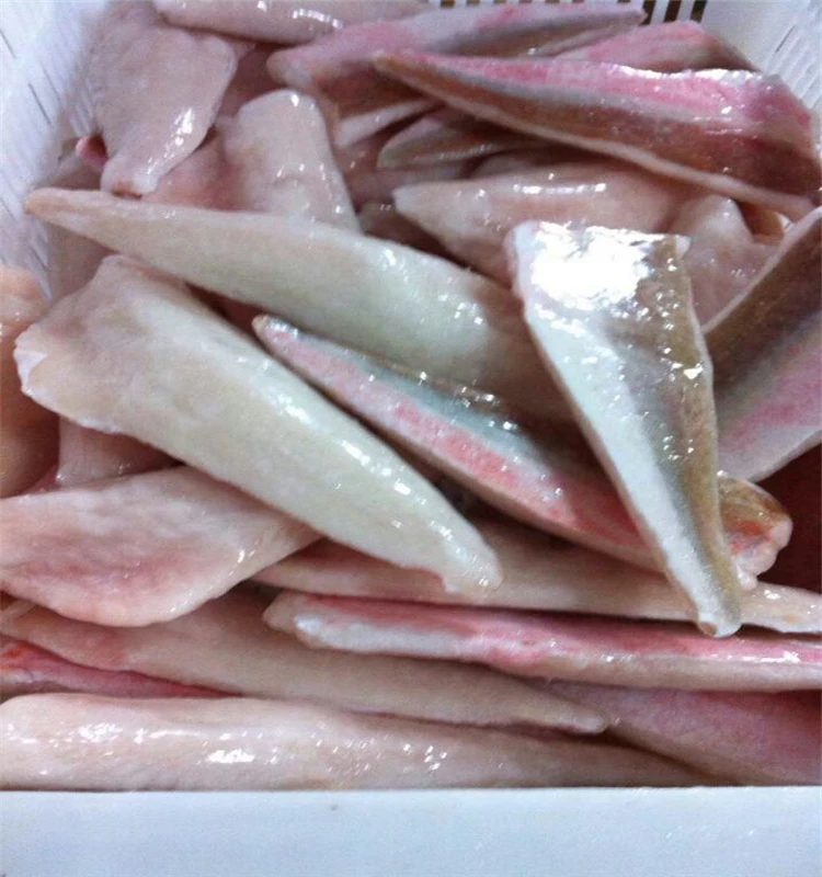 Seafood high quality frozen red gurnard fillet
