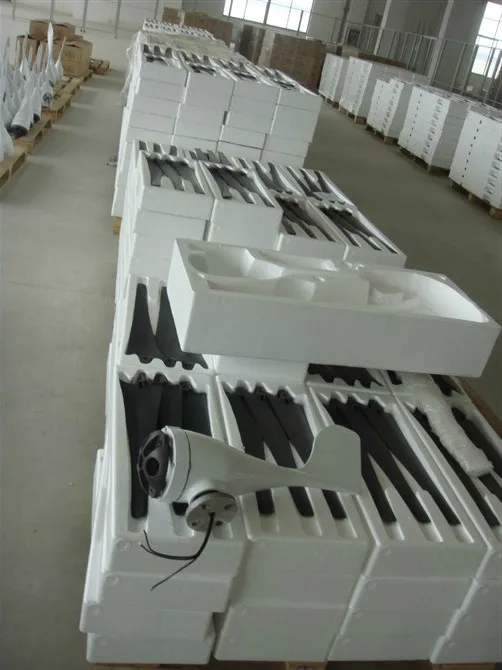 ESG 600w Off Grid Wind Turbine With Good Quality Wind Power System For Street Light