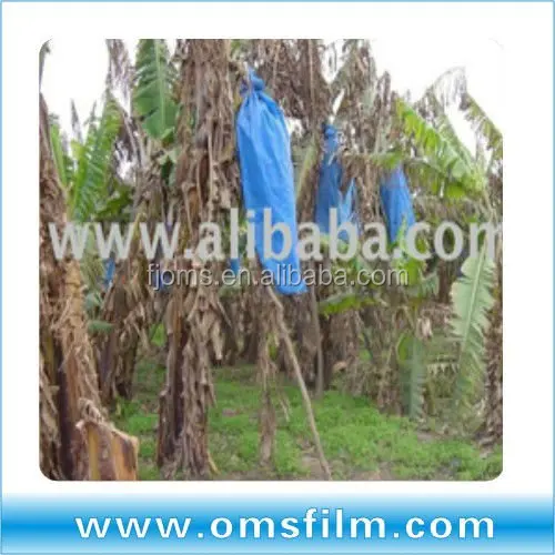 Plastic banana film, blue banana bunch cover
