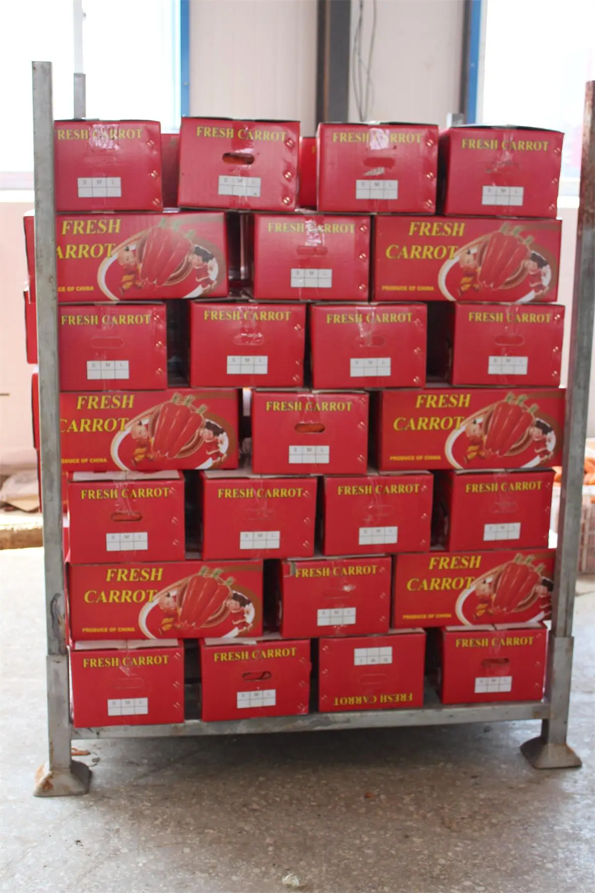 
Fresh Style and Umbelliferous Vegetable Product Type Fresh Carrot 